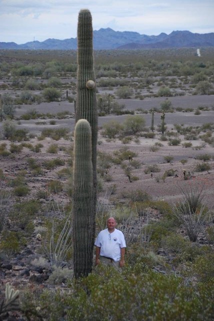 saguaro-e1461359866624