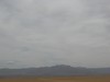 IMG_0781