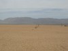 IMG_0760
