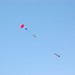 Tonimus-patriot-h180w-under-chute-e1461467885811