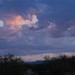 DSC_0003-e1461354644572