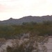 DSC_0006-e1461354477337