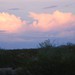 DSC_0007-e1461354409485