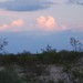DSC_0009-e1461354295196