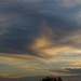 IMGP2015-e1461343302745