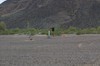 IMGP2107-e1461344626496