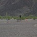 IMGP2107-e1461344626496