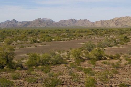 IMGP1998-e1461342528895
